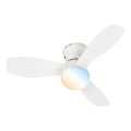 Brilo - LED dimmējams griestu ventilators PAN LED/15W/230V 3000-6500K balts + tālvadības pults