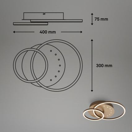 Brilo - LED griestu gaismeklis ar regulējamu spilgtumu LED/26W/230V 3000K brūns
