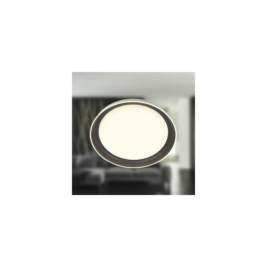 Brilo - LED griestu gaismeklis IJUS LED/24W/230V 3000K Ø 43 cm