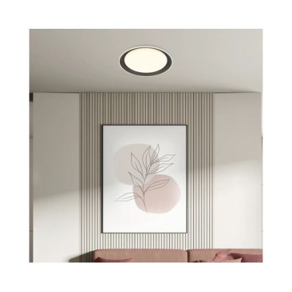 Brilo - LED griestu gaismeklis IJUS LED/24W/230V 3000K Ø 43 cm