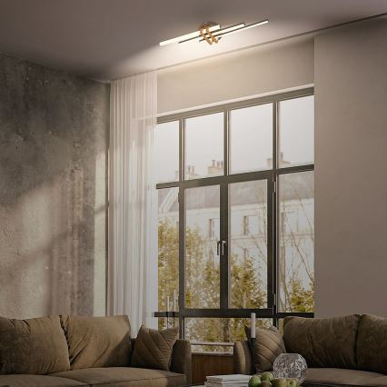 Brilo - LED griestu gaismeklis TINKA LED/21W/230V 3000K melns
