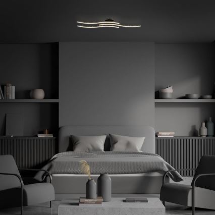 Brilo - LED Griestu lampa LED/19W/230V 3000K melna