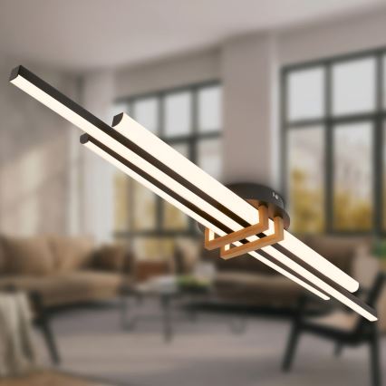 Brilo - LED griestu lampa TINKA LED/30W/230V 3000K melna