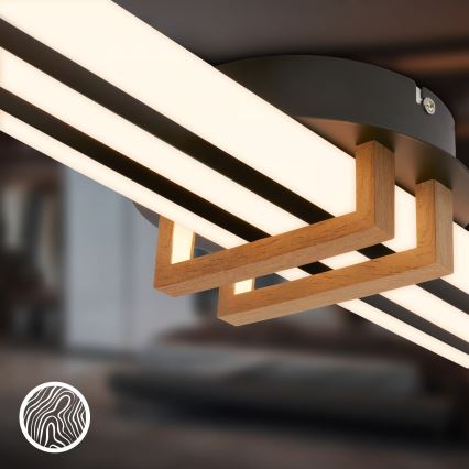 Brilo - LED griestu lampa TINKA LED/30W/230V 3000K melna