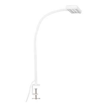 Brilo - LED Pielāgojama galda lampa ar stiprinājumu TRASNA LED/7,5W/230V balta