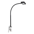 Brilo - LED Pielāgojama galda lampa ar stiprinājumu TRASNA LED/7,5W/230V melna