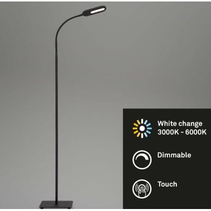 Briloner 1297-015 - LED Aptumšojama pielāgojama grīdas stāvlampa LED/6,6W/230V 3000K/4000K/6000K
