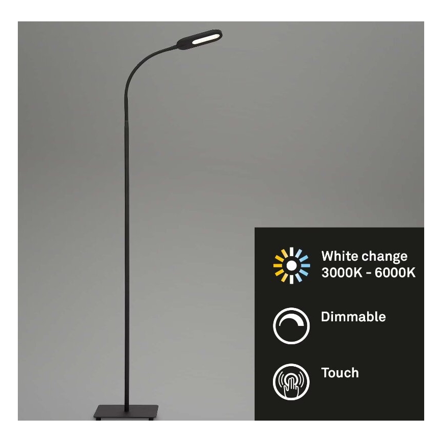 Briloner 1297-015 - LED Aptumšojama pielāgojama grīdas stāvlampa LED/6,6W/230V 3000K/4000K/6000K
