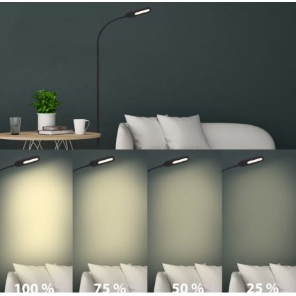 Briloner 1297-015 - LED Aptumšojama pielāgojama grīdas stāvlampa LED/6,6W/230V 3000K/4000K/6000K