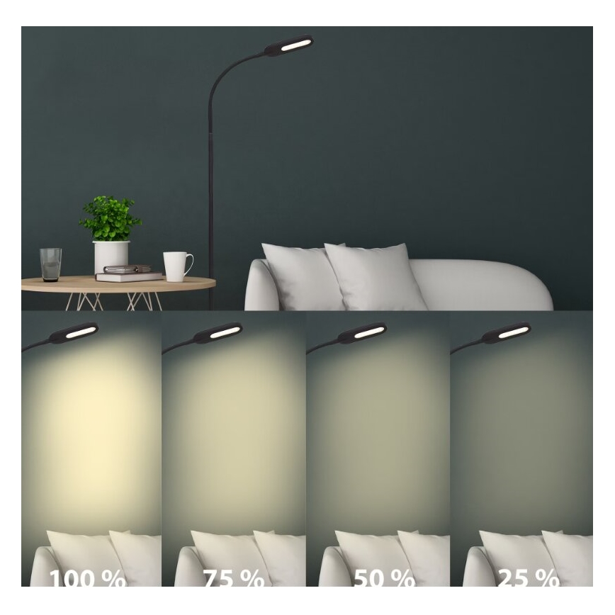 Briloner 1297-015 - LED Aptumšojama pielāgojama grīdas stāvlampa LED/6,6W/230V 3000K/4000K/6000K
