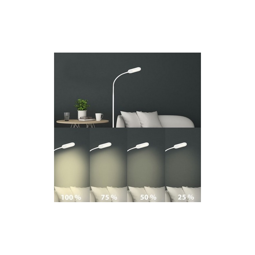 Briloner 1297-016 - LED Aptumšojama skārienvadāma grīdas stāvlampa LED/8W/230V 3000/4000/6000K