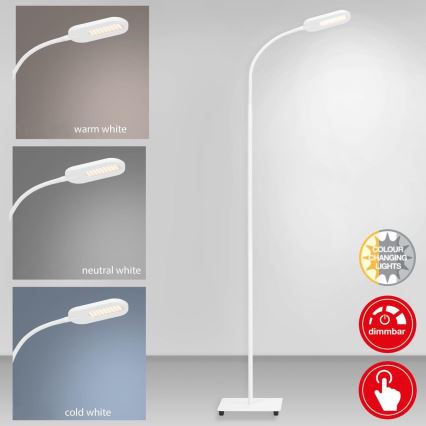 Briloner 1297-016 - LED Aptumšojama skārienvadāma grīdas stāvlampa LED/8W/230V 3000/4000/6000K