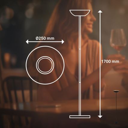 Briloner 1500015 - ESTATE LED grīdas lampa ar regulējamu spilgtumu LED/8W/5V 4000 mAh melna