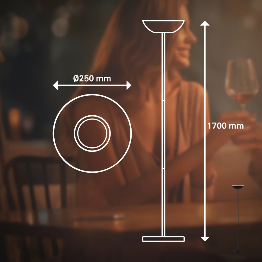 Briloner 1500015 - ESTATE LED grīdas lampa ar regulējamu spilgtumu LED/8W/5V 4000 mAh melna