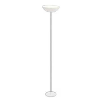 Briloner 1500016 - LED stāvlampa ar regulējamu spilgtumu ESTATE LED/8W/5V 4000 mAh balta
