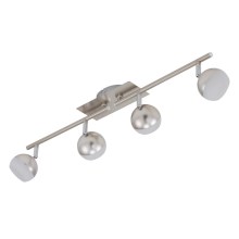 Briloner 2045-042 - LED Lampa 4xLED/3,7W/230V