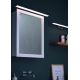 Briloner 2060-018 - LED vannas istabas spoguļa gaismeklis SPLASH LED/10W/230V IP23