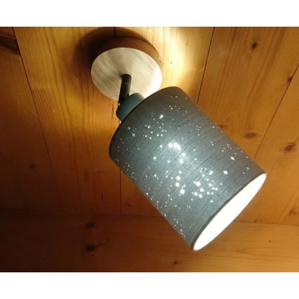 Briloner 2078-011 - Sienas starmetis SPOTLIGHT 1xE27/25W/230V bēša