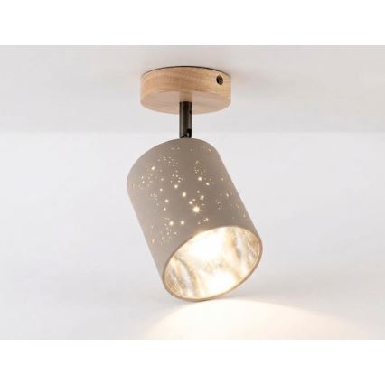 Briloner 2078-011 - Sienas starmetis SPOTLIGHT 1xE27/25W/230V bēša