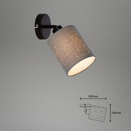 Briloner 2078-014 - Sienas starmetis SPOTLIGHT 1xE27/25W/230V pelēka/melna