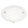 Briloner 2118-016 - Vannas istabas griestu lampa SPLASH 1xE27/60W/230V IP23