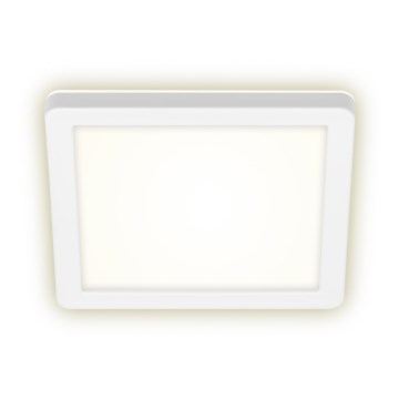 Briloner 3010-016 - LED Griestu lampa LED/8W/230V 19x19 cm balta IP44