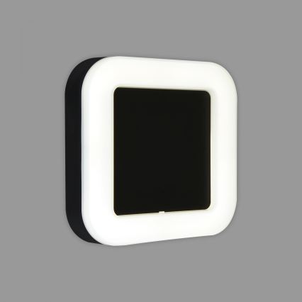 Briloner 3034-015 - LED Āra sienas lampa LED/15W/230V 4000K