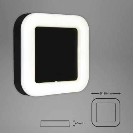 Briloner 3034-015 - LED Āra sienas lampa LED/15W/230V 4000K