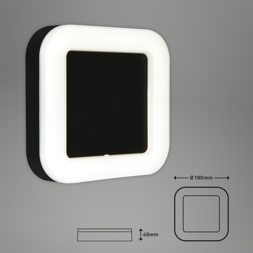 Briloner 3034-015 - LED Āra sienas lampa LED/15W/230V 4000K