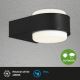 Briloner 3035-015 - LED Āra sienas lampa HANAU LED/6,5W/230V IP44 melna