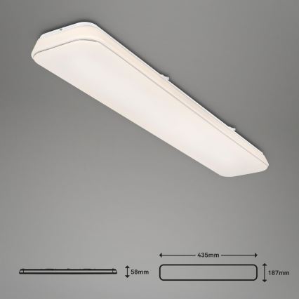 Briloner 3042-016 - LED Aptumšojama griestu lampa RUPA LED/48W/230V
