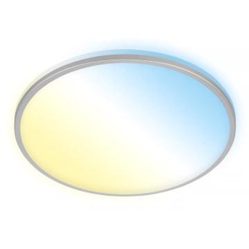 Briloner 3064-014 - IVY LED griestu lampa ar regulējamu spilgtumu LED/24W/230V Wi-Fi Tuya Ø 33,3 cm + tālvadības pults