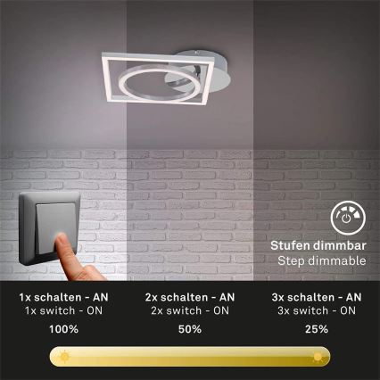 Briloner 3114-018 - LED Aptumšojama griestu lampa FRAME LED/19,6W/230V 3000K