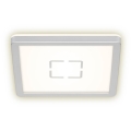 Briloner 3174-014 - LED Griestu gaismeklis FREE LED/12W/230V 19x19 cm