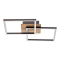 Briloner 3210-014 - LED Aptumšojama griestu lampa FRAME 2xLED/11W/230V brūna
