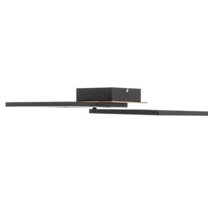 Briloner 3210-014 - LED Aptumšojama griestu lampa FRAME 2xLED/11W/230V brūna