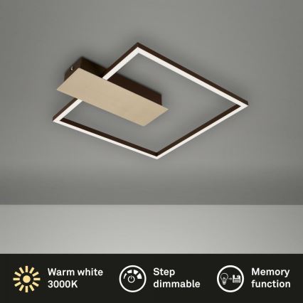 Briloner 3544-017 - LED Aptumšojama griestu lampa NICO LED/12W/230V zelta