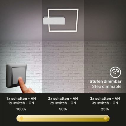 Briloner 3544-018 - LED Aptumšojama griestu lampa NICO LED/12W/230V hroms