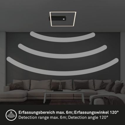 Briloner 3770-015 - LED griestu gaismeklis ar kustības un krēslas sensoru FRAME LED/14W/230V 3000K 30x32 cm melns