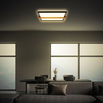 Briloner 3845015 - LED griestu gaismeklis LED/18W/230V 29,5x31,5 cm