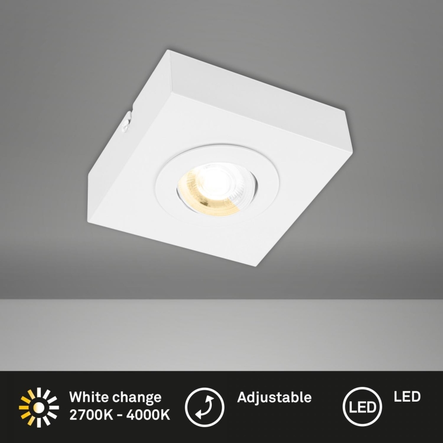 Briloner 3996016 - LED Starmetis CTS LED/4W/230V 2700/4000K balta
