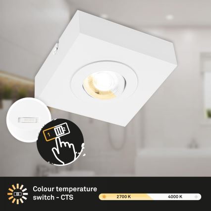 Briloner 3996016 - LED Starmetis CTS LED/4W/230V 2700/4000K balta