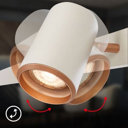 Briloner 4058044 - Pakaramā lampa ERA uz kabeļa 4xGU10/10W/230V krēmkrāsaina