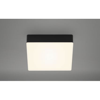 Briloner 7069-015 - LED Griestu lampa LED/11W/230V melna