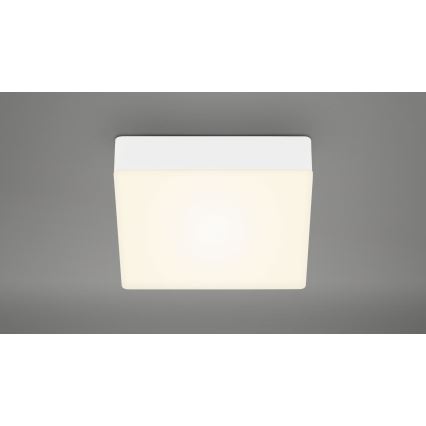 Briloner 7069-016 - LED Griestu lampa LED/11W/230V balta