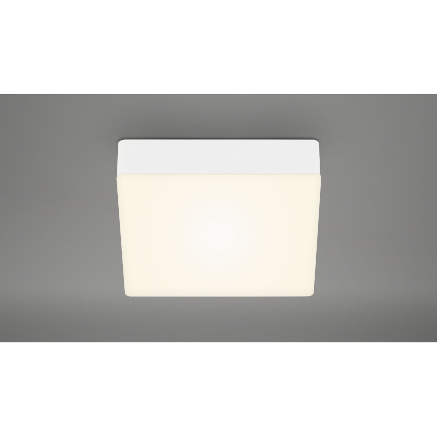 Briloner 7069-016 - LED Griestu lampa LED/11W/230V balta