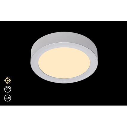 Briloner 7124-014 - LED Aptumšojama griestu lampa FIRE LED/12W/230V 3000K