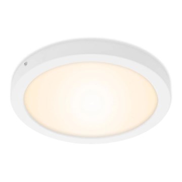 Briloner 7141-016 - LED Griestu lampa FIRE LED/21W/230V