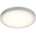Briloner 7143-014 - LED Griestu lampa FIRE LED/24,5W/230V 3000K