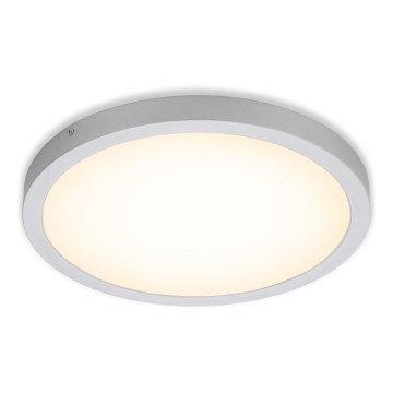 Briloner 7143-014 - LED Griestu lampa FIRE LED/24,5W/230V 3000K